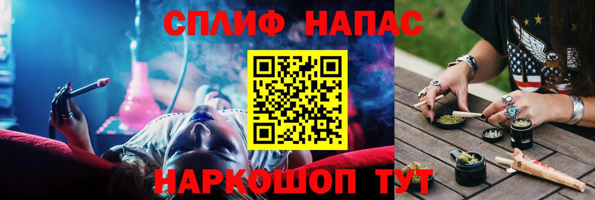 Конопля сатива Шарыпово